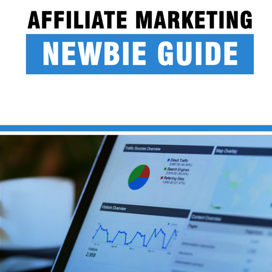 Affiliate Marketing Newbie Guide – The Best Guide